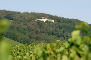 Гостиница Auberge Les Hauts De Chenas  Шена